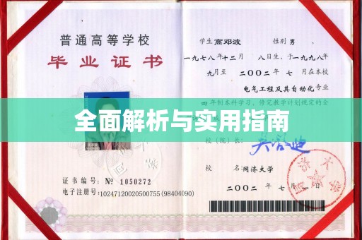 沣东全面解析与实用指南